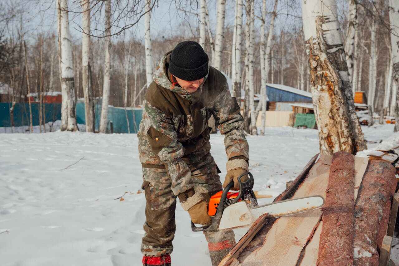 Large Tree Removal in Childress, TX